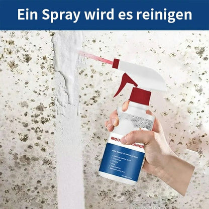 🔥Kaufe 2 und bekomme 1 gratis 🦠Schimmelentferner Reinigungsschaum Spray