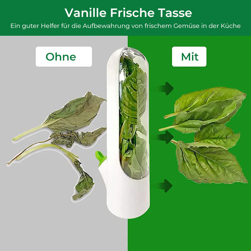 Frische Lagerung von Koriander-Gemüse