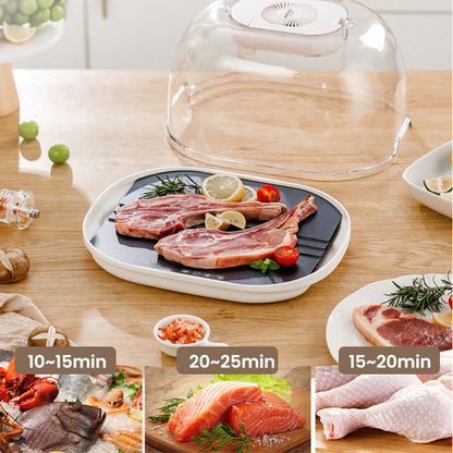 🎁 [Praktisches Geschenk] 🔥 Home Gefrorenes Fleisch Zutaten Auftauen Maschine 🥩