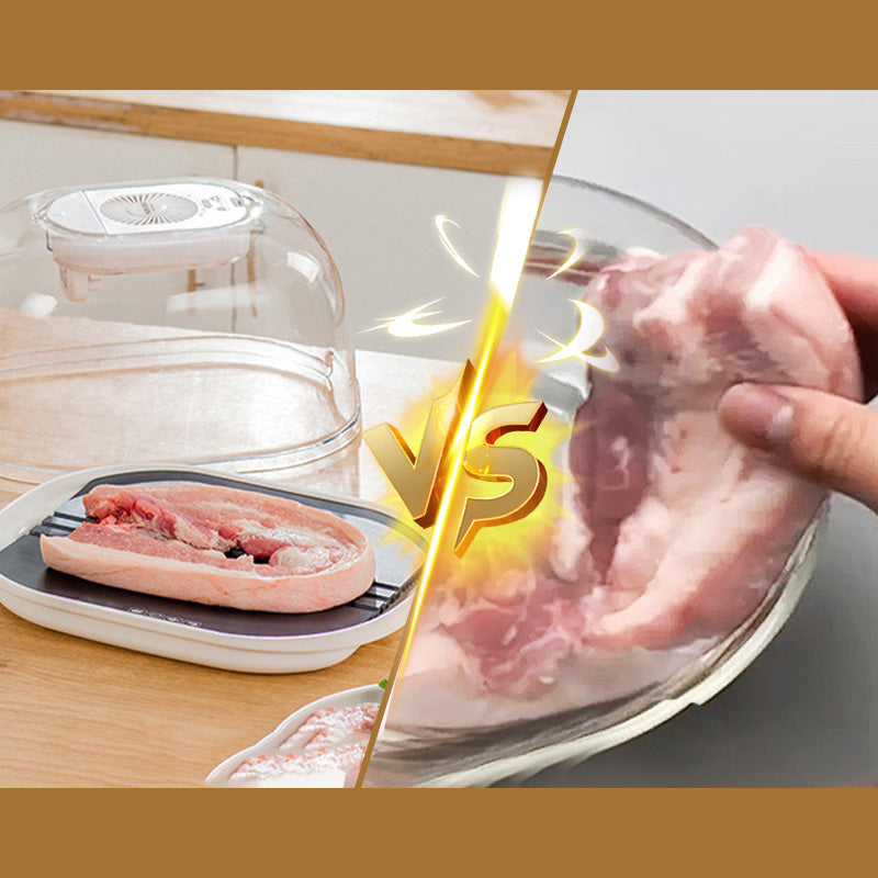 🎁 [Praktisches Geschenk] 🔥 Home Gefrorenes Fleisch Zutaten Auftauen Maschine 🥩